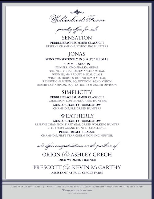 Horses for Sale - Sensation, Jonas, Simplicity, Weatherly