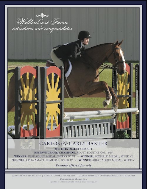 Carlos - Sale Horse
