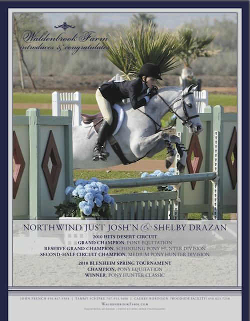 Pony for Sale - Just Josh'n