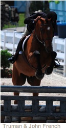 John French and Truman at Devon Horse Show